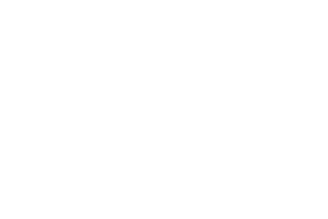 Cartier Women Initiative