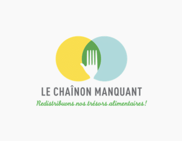le chainon manquants