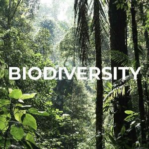 TEMPLATE - TRACKS CHANGENOW-03