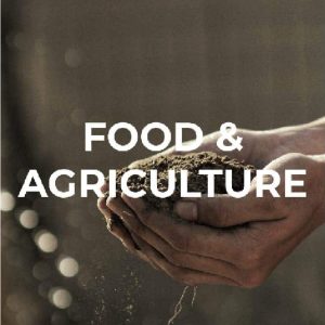 TEMPLATE - TRACKS CHANGENOW-06