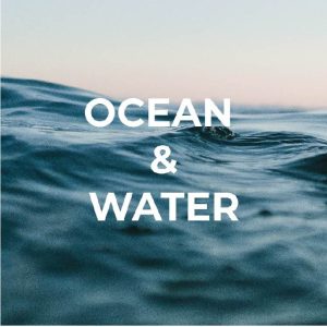 TEMPLATE - TRACKS CHANGENOW-22